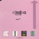 Kissing The Pink Stand Up German 3" CD Single